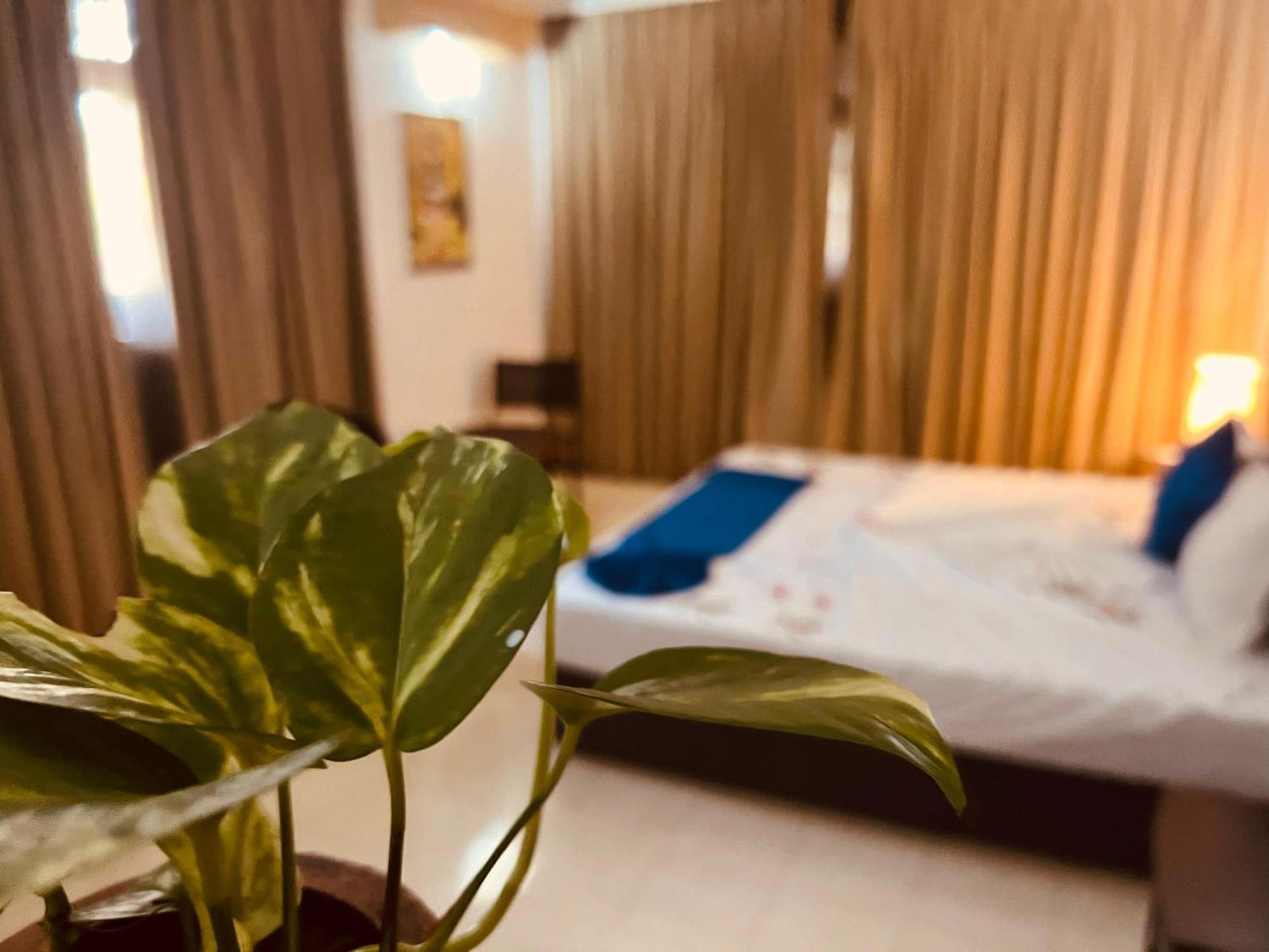 Ocean Beauty Guest House Negombo Exterior photo